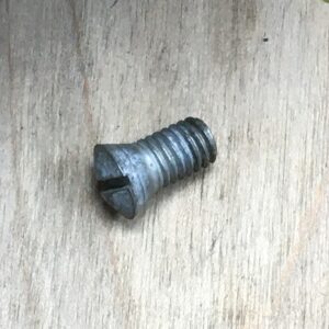 Carburetor to Manifold Screw