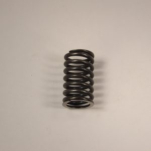 Intake Valve Spring