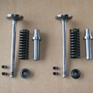 Inlet & Exhaust Valve kit, C